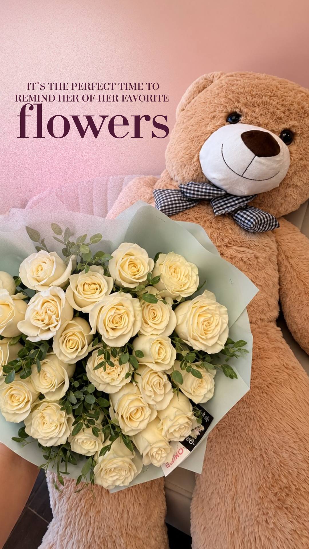 Plush Teddy Bear